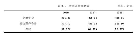 表 3.1 货币资金现状表