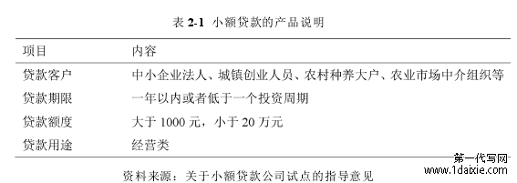 表 2-1 小额贷款的产品说明