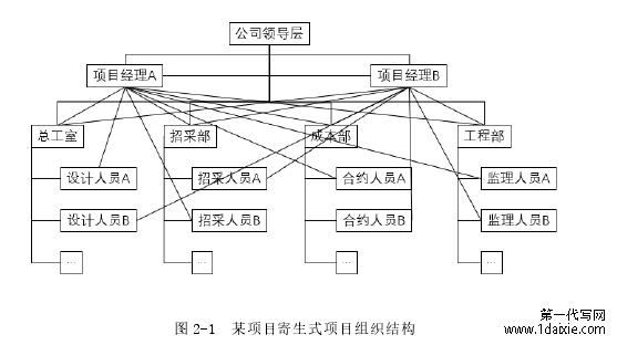 图 2-1  某项目寄生式项目组织结构 